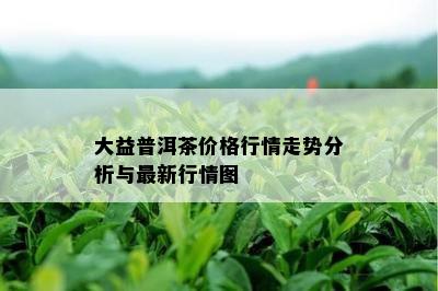 大益普洱茶价格行情走势分析与最新行情图