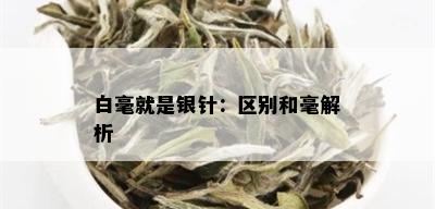 白毫就是银针：区别和毫解析