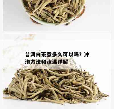 普洱白茶煮多久可以喝？冲泡方法和水温详解