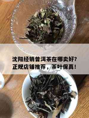 沈阳经销普洱茶在哪卖好？正规店铺推荐，茶叶保真！