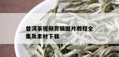 普洱茶视频剪辑图片教程全集及素材下载