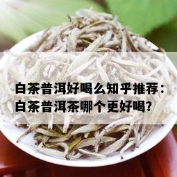 白茶普洱好喝么知乎推荐：白茶普洱茶哪个更好喝？