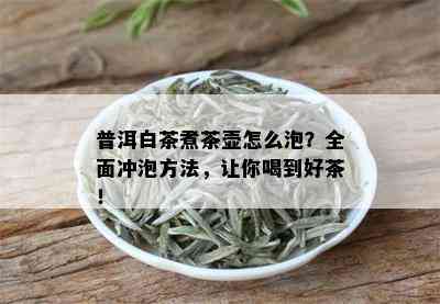 普洱白茶煮茶壶怎么泡？全面冲泡方法，让你喝到好茶！