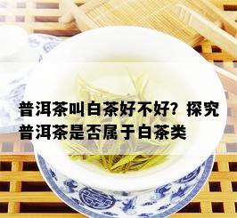 普洱茶叫白茶好不好？探究普洱茶是否属于白茶类