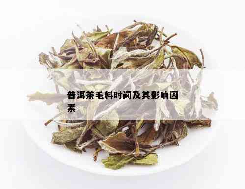 普洱茶毛料时间及其影响因素