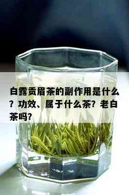 白露贡眉茶的副作用是什么？功效、属于什么茶？老白茶吗？