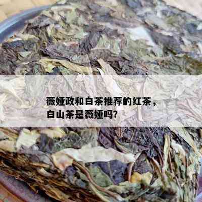 薇娅政和白茶推荐的红茶，白山茶是薇娅吗？