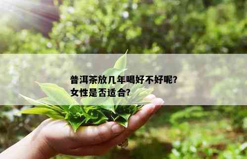 普洱茶放几年喝好不好呢？女性是否适合？