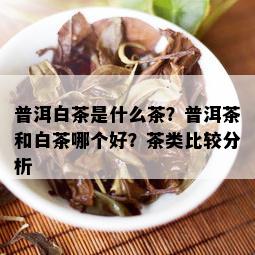 普洱白茶是什么茶？普洱茶和白茶哪个好？茶类比较分析