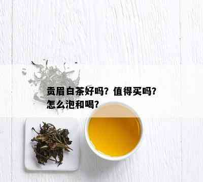 贡眉白茶好吗？值得买吗？怎么泡和喝？