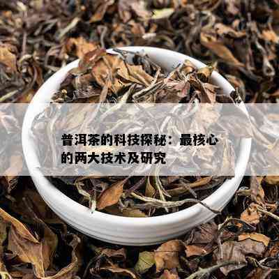 普洱茶的科技探秘：最核心的两大技术及研究