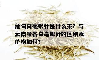 缅甸白毫银针是什么茶？与云南景谷白毫银针的区别及价格如何？