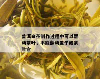 普洱白茶制作过程中可以翻动茶叶，不能翻动盖子或茶叶盒