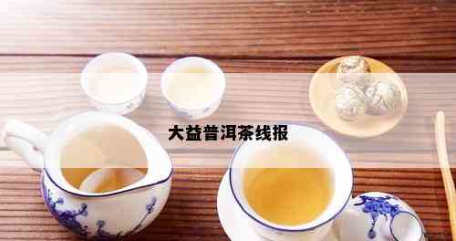 大益普洱茶线报