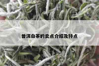 普洱白茶的卖点介绍及特点