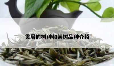 贡眉的树种和茶树品种介绍