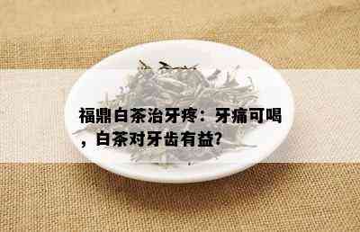 福鼎白茶治牙疼：牙痛可喝，白茶对牙齿有益？