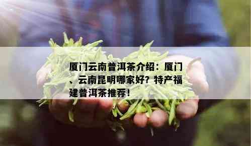 厦门云南普洱茶介绍：厦门、云南昆明哪家好？特产福建普洱茶推荐！