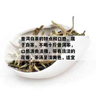 普洱白茶的特点和口感，属于白茶，不喝十斤普洱茶，口感清爽淡雅，带有淡淡的花香，茶汤呈淡黄色，适宜多泡几次。