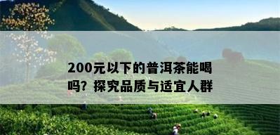 200元以下的普洱茶能喝吗？探究品质与适宜人群