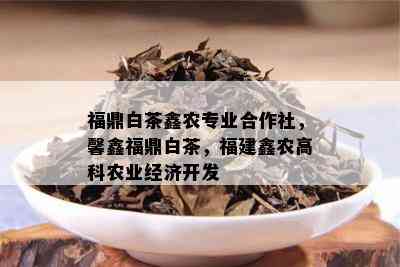 福鼎白茶鑫农专业合作社，馨鑫福鼎白茶，福建鑫农高科农业经济开发