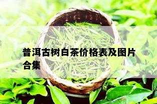 普洱古树白茶价格表及图片合集