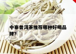 中寨普洱茶推荐哪种好喝品牌？