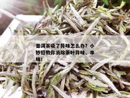 普洱茶吸了异味怎么办？小妙招教你消除茶叶异味、串味！