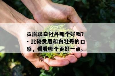 贡眉跟白牡丹哪个好喝？ - 比较贡眉和白牡丹的口感，看看哪个更好一点。