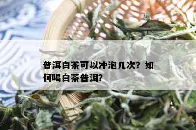 普洱白茶可以冲泡几次？如何喝白茶普洱？