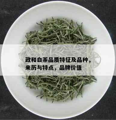 政和白茶品质特征及品种，来历与特点，品牌价值