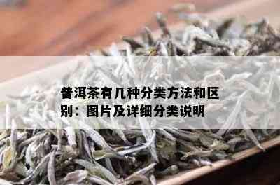 普洱茶有几种分类方法和区别：图片及详细分类说明