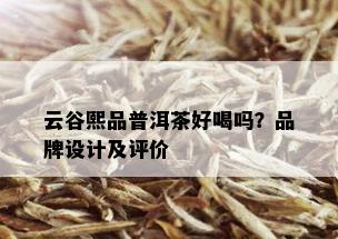 云谷熙品普洱茶好喝吗？品牌设计及评价