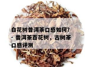 白花树普洱茶口感如何？ - 普洱茶百花树，古树茶口感评测