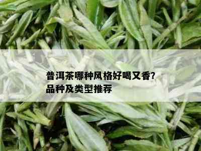 普洱茶哪种风格好喝又香？品种及类型推荐