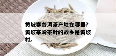 黄坡寨普洱茶产地在哪里？黄坡寨岭茶叶的故乡是黄坡村。