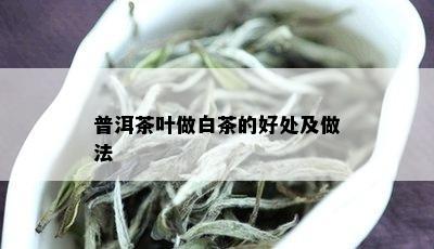 普洱茶叶做白茶的好处及做法