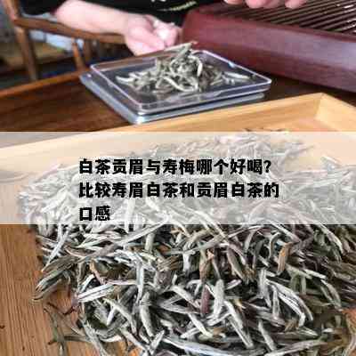 白茶贡眉与寿梅哪个好喝？比较寿眉白茶和贡眉白茶的口感