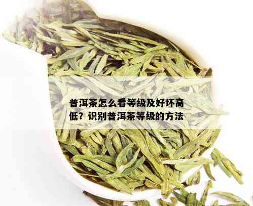 普洱茶怎么看等级及好坏高低？识别普洱茶等级的方法