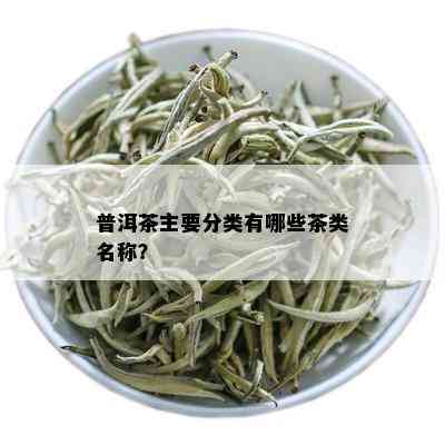 普洱茶主要分类有哪些茶类名称？