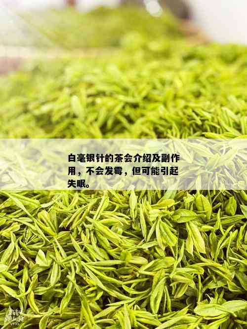 白毫银针的茶会介绍及副作用，不会发霉，但可能引起失眠。