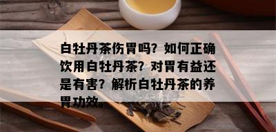 白牡丹茶伤胃吗？如何正确饮用白牡丹茶？对胃有益还是有害？解析白牡丹茶的养胃功效。