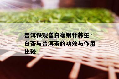 普洱铁观音白毫银针养生：白茶与普洱茶的功效与作用比较