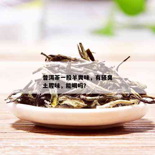 普洱茶一股羊粪味，有骚臭土腥味，能喝吗？