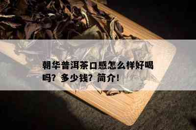 朝华普洱茶口感怎么样好喝吗？多少钱？简介！