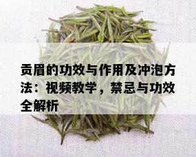 贡眉的功效与作用及冲泡方法：视频教学，禁忌与功效全解析