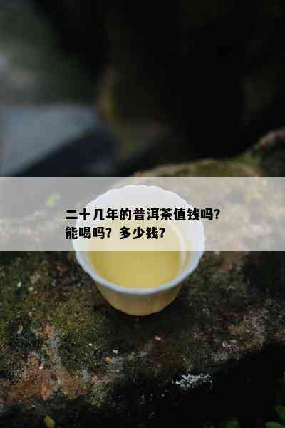 二十几年的普洱茶值钱吗？能喝吗？多少钱？