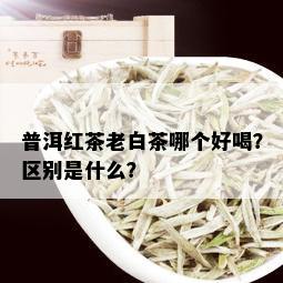 普洱红茶老白茶哪个好喝？区别是什么？