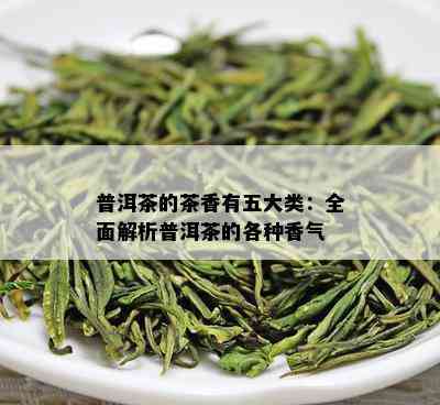 普洱茶的茶香有五大类：全面解析普洱茶的各种香气