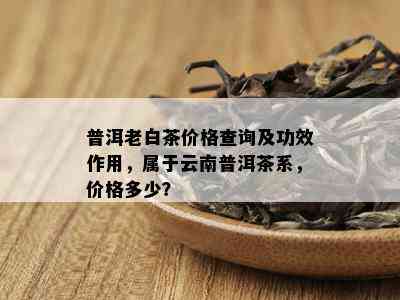 普洱老白茶价格查询及功效作用，属于云南普洱茶系，价格多少？